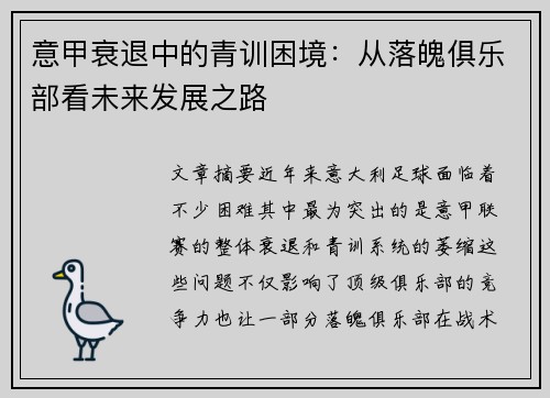 意甲衰退中的青训困境：从落魄俱乐部看未来发展之路